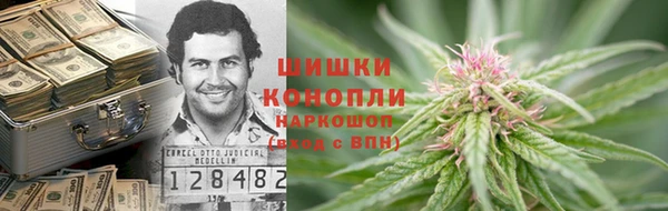 мдпв Михайлов