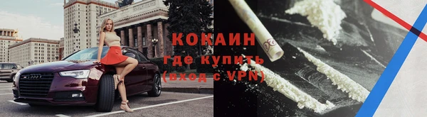 мдпв Михайлов
