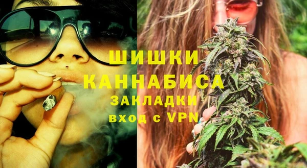 мдпв Михайлов