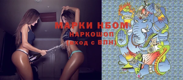мдпв Михайлов