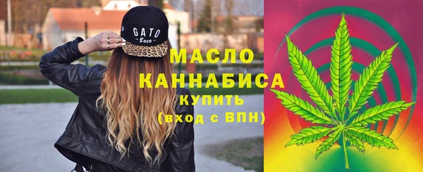 мдпв Михайлов