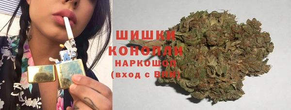мдпв Михайлов